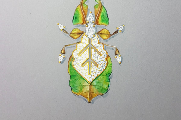 x Lovely Leaf Insect format carré