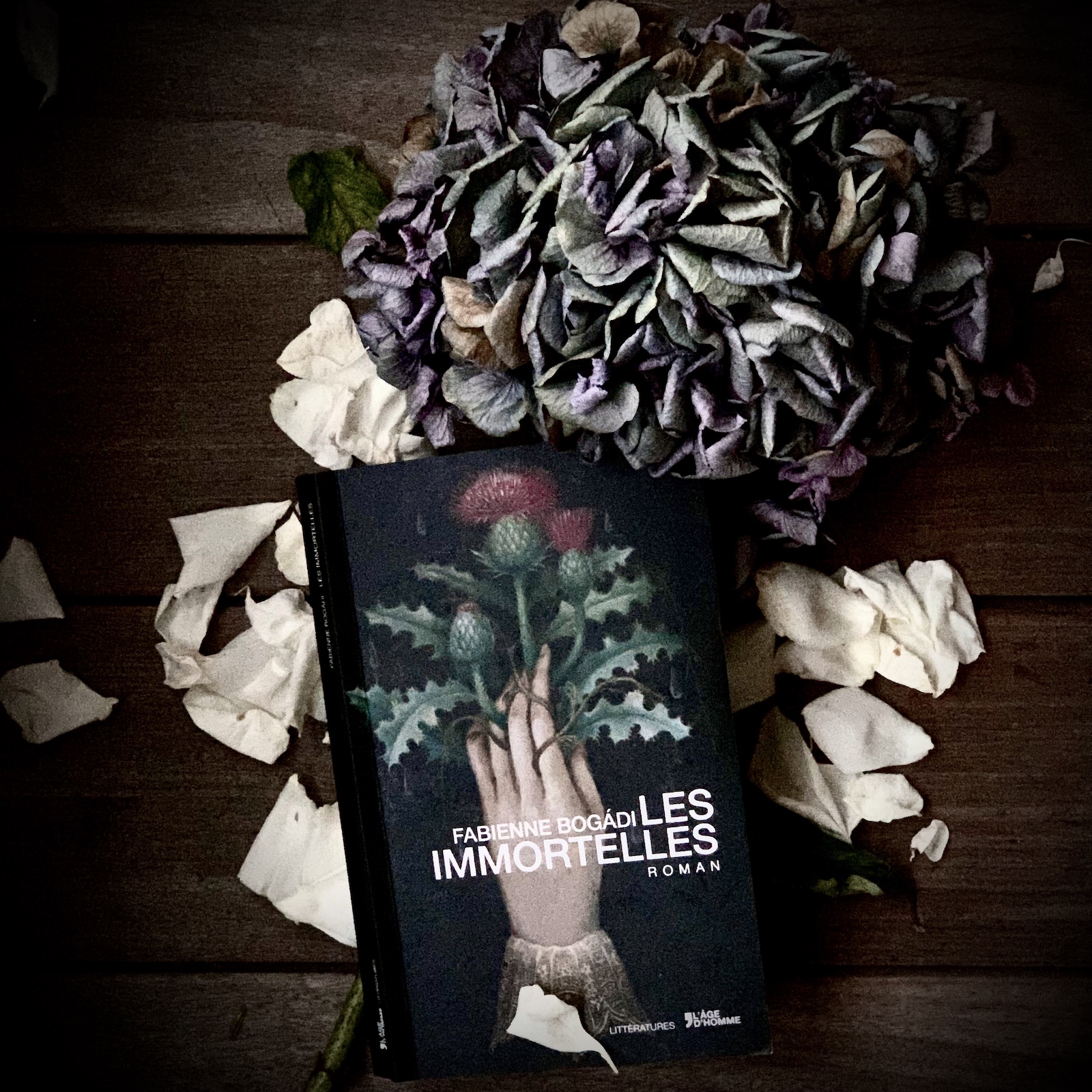 Les Immortelles, a painfully beautiful novel