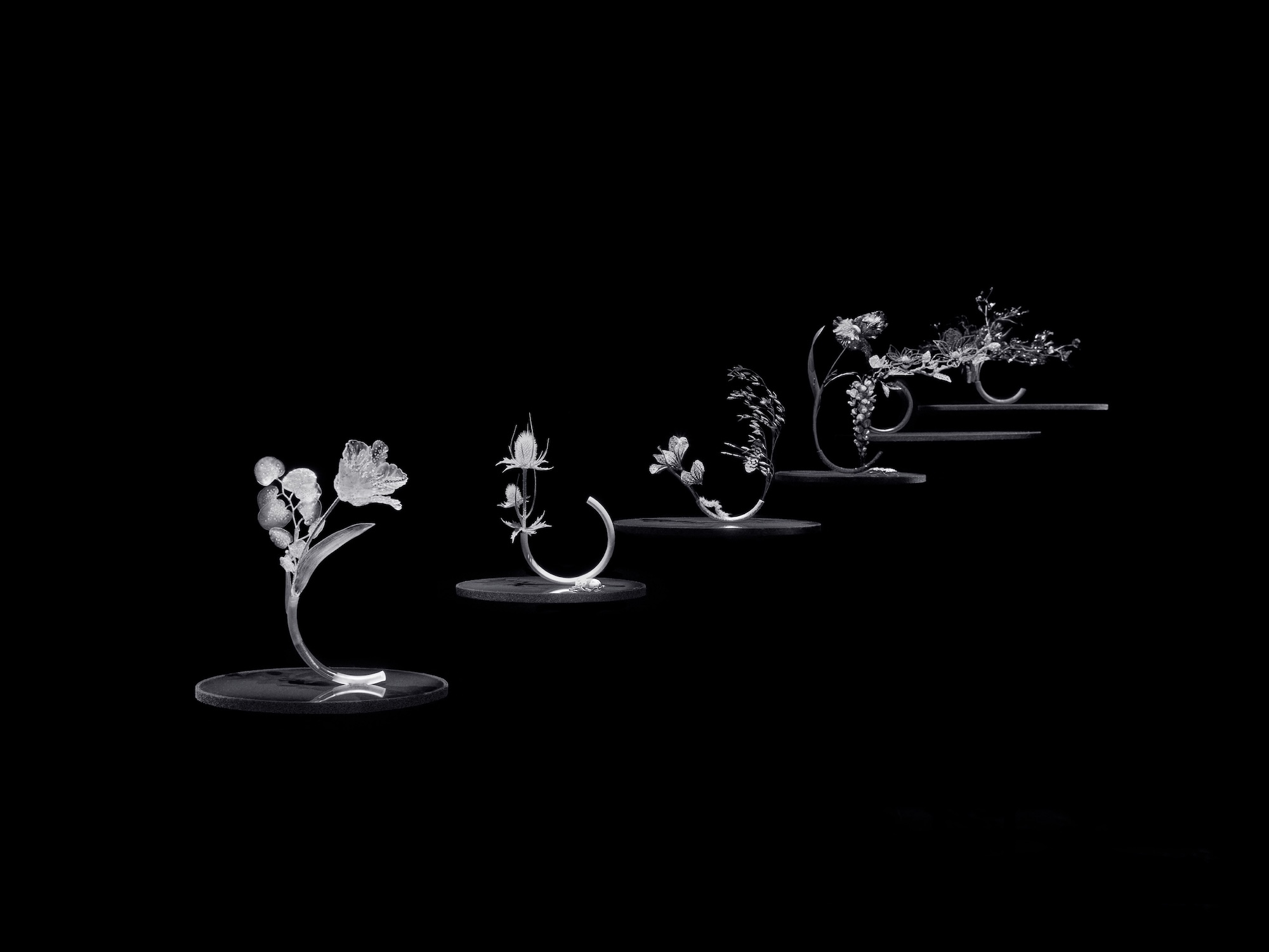 With the Impermanence collection, Claire Choisne recounts the fragile beauty of nature